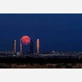 ست 10 عددی تینت لب مینی کالر کستل طرح فانتزی خرگوشی