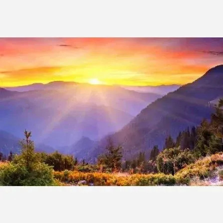 ست براش آرایش چشم 3 عددی
